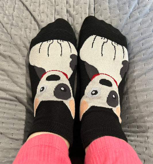 Puppy character socks